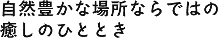 自然豊かな場所ならではの癒しのひととき